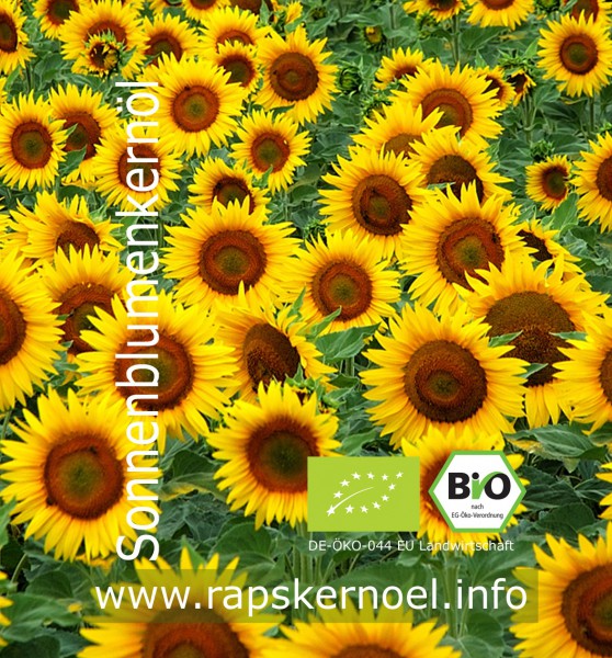 MHD 10.06.2025: 50% Rabatt! Sonnenblumenkernöl Bio, 3 Liter Bag-in-Box